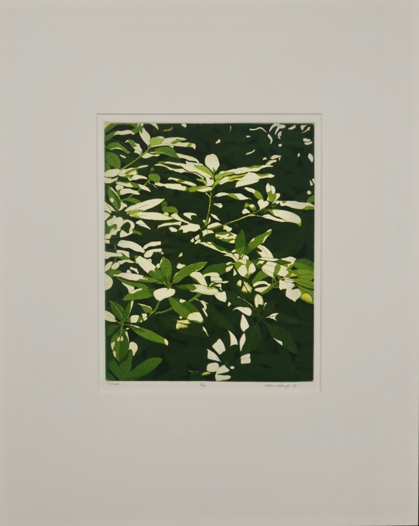 Hans van Liempt: Ets, HL04186 kopen? Bied vanaf 20!