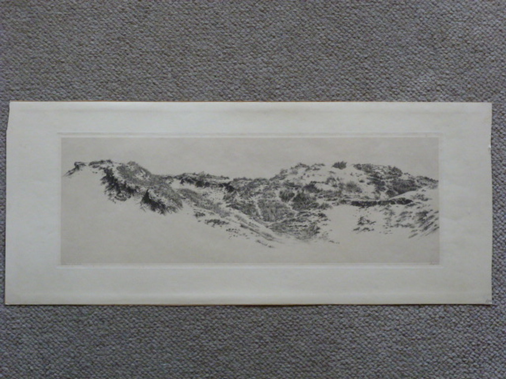 Dirk Harting - ets - Duinlandschap kopen? Bied vanaf 45!