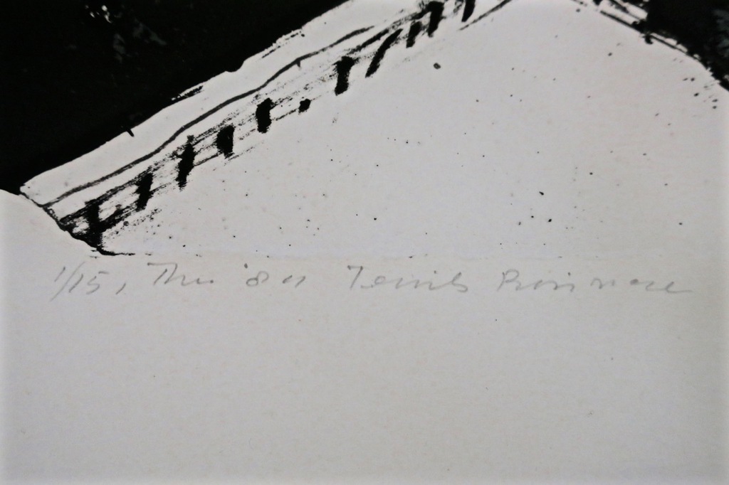 Theo Elfrink: Litho, Ternils kopen? Bied vanaf 1!