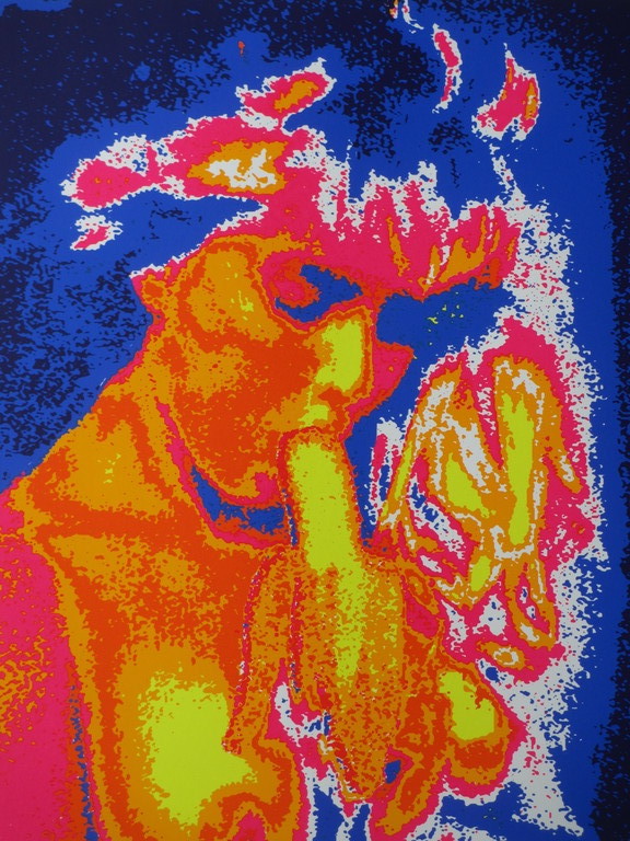 Henk van der Vet - Henk van der Vet, Bananenbar, Zeefdruk kopen? Bied vanaf 1!