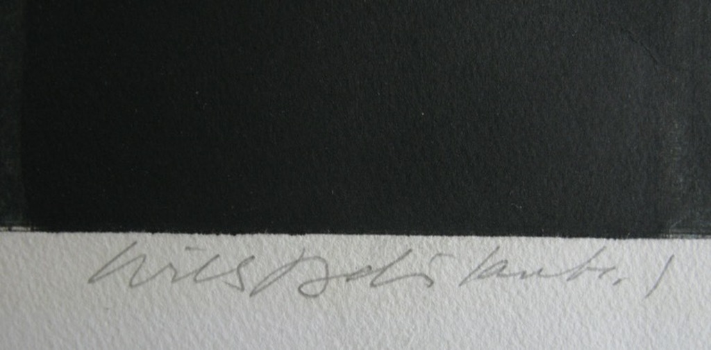 Willy Belinfante - MANAGEMENT - kleurets - kopen? Bied vanaf 1!