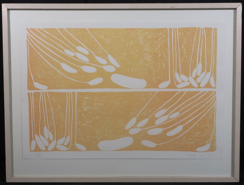 Hans Hovy: Litho, Lange prent - Ingelijst kopen? Bied vanaf 20!