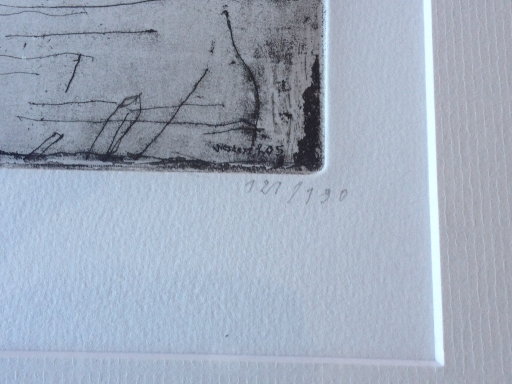 Co Westerik: ets, Vogel boven water kopen? Bied vanaf 1!