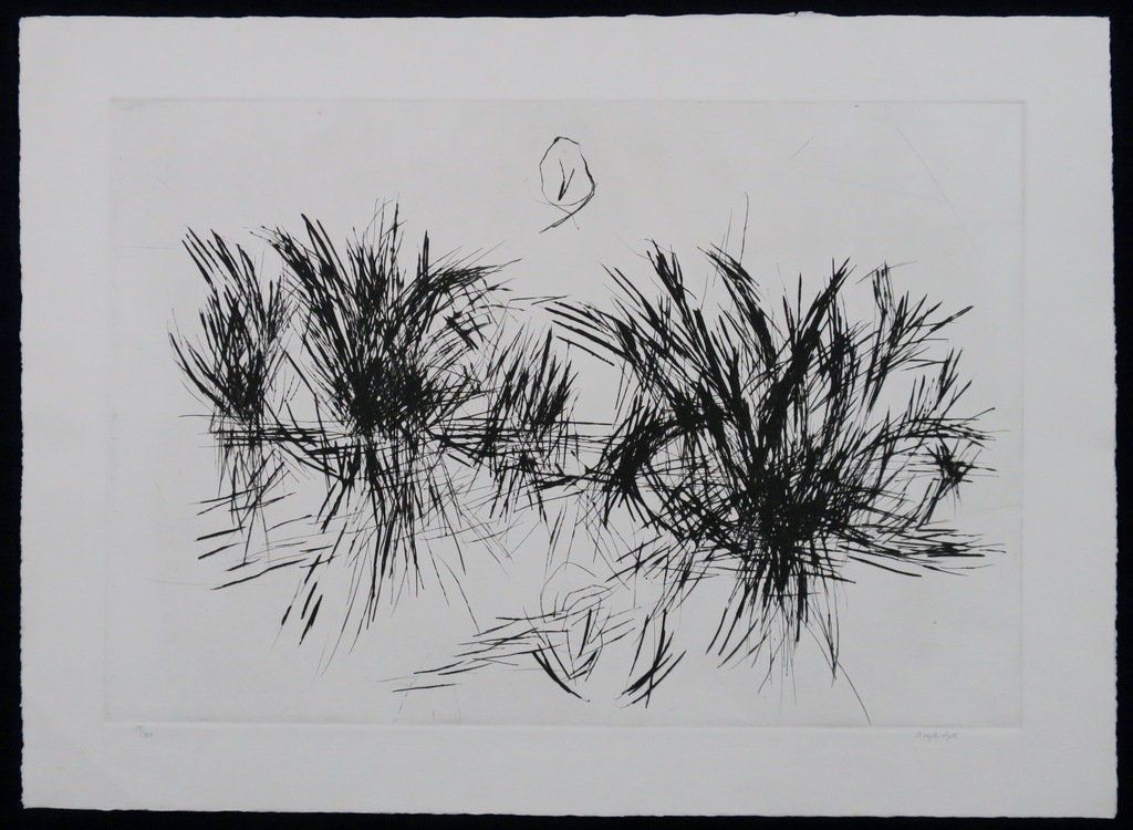 Anton Buytendijk: Droge naald, Compositie kopen? Bied vanaf 20!