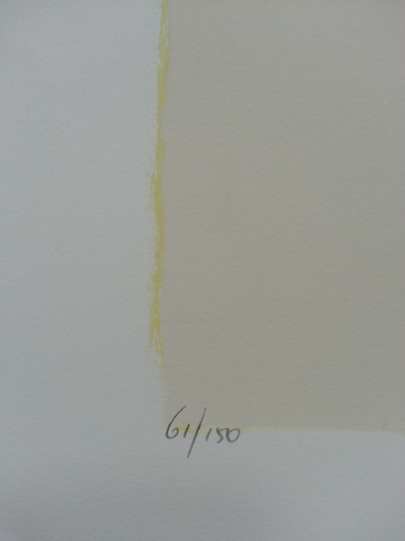 Ron van der Werf, zeefdruk op papier, titel:" Mysterie I" 2003 kopen? Bied vanaf 50!