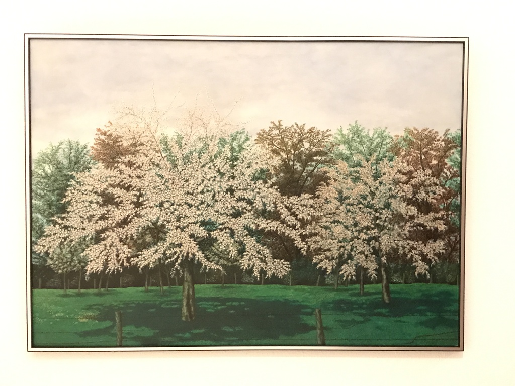 Lente, Cor van den Akker kopen? Bied vanaf 2500!