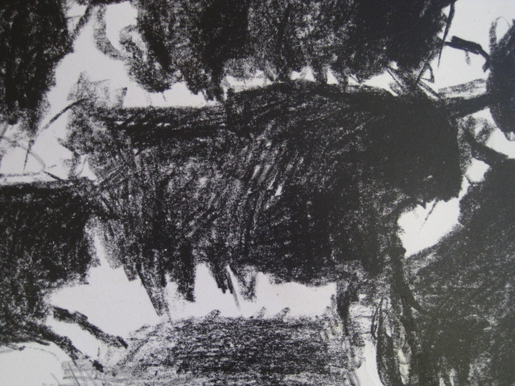 Anton Buytendijk 1913-2002 vrij zeldzaam Litho "Bizons" gesigneerd en genummerd kopen? Bied vanaf 1!