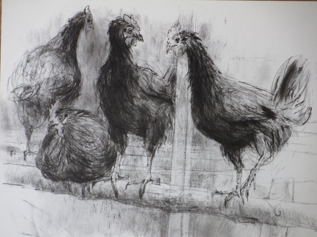 Piet Klaasse, Kippen, Litho kopen? Bied vanaf 1!