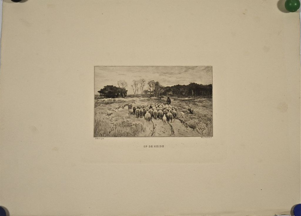 Willem Steelink: Ets. Op de heide kopen? Bied vanaf 1!