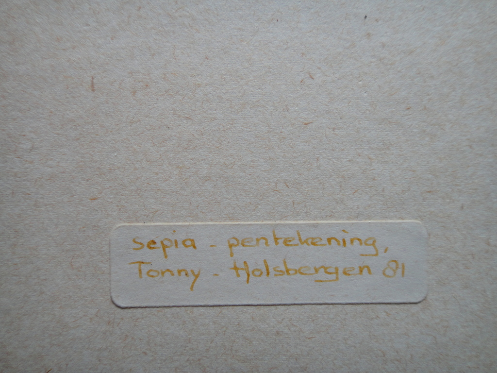 Tonny Holsbergen - Tonny Holsbergen, sepiatekeningen: 4 poezenvoorstellingen  kopen? Bied vanaf 1!