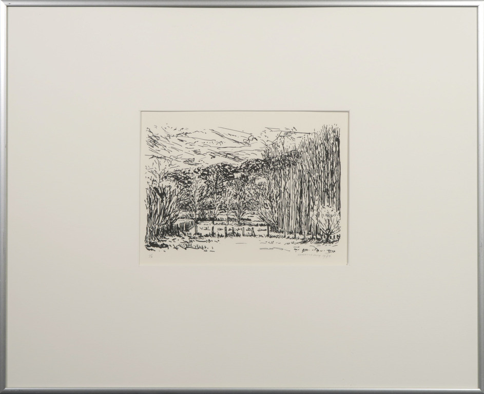 Lot met 5 Zeefdrukken van Annette Ong: Wandeltochten I - Ingelijst kopen? Bied vanaf 20!