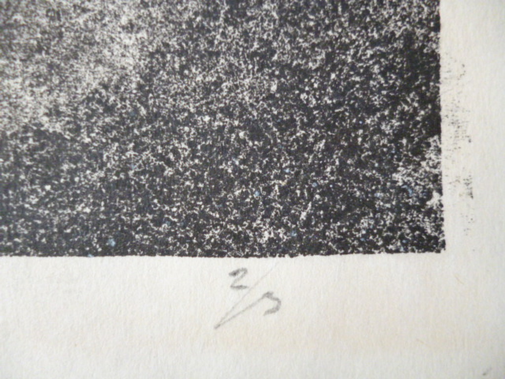 Harry van Kruiningen - kleurenlitho - Dierfiguur met 2 gezichten en rode zon  kopen? Bied vanaf 85!