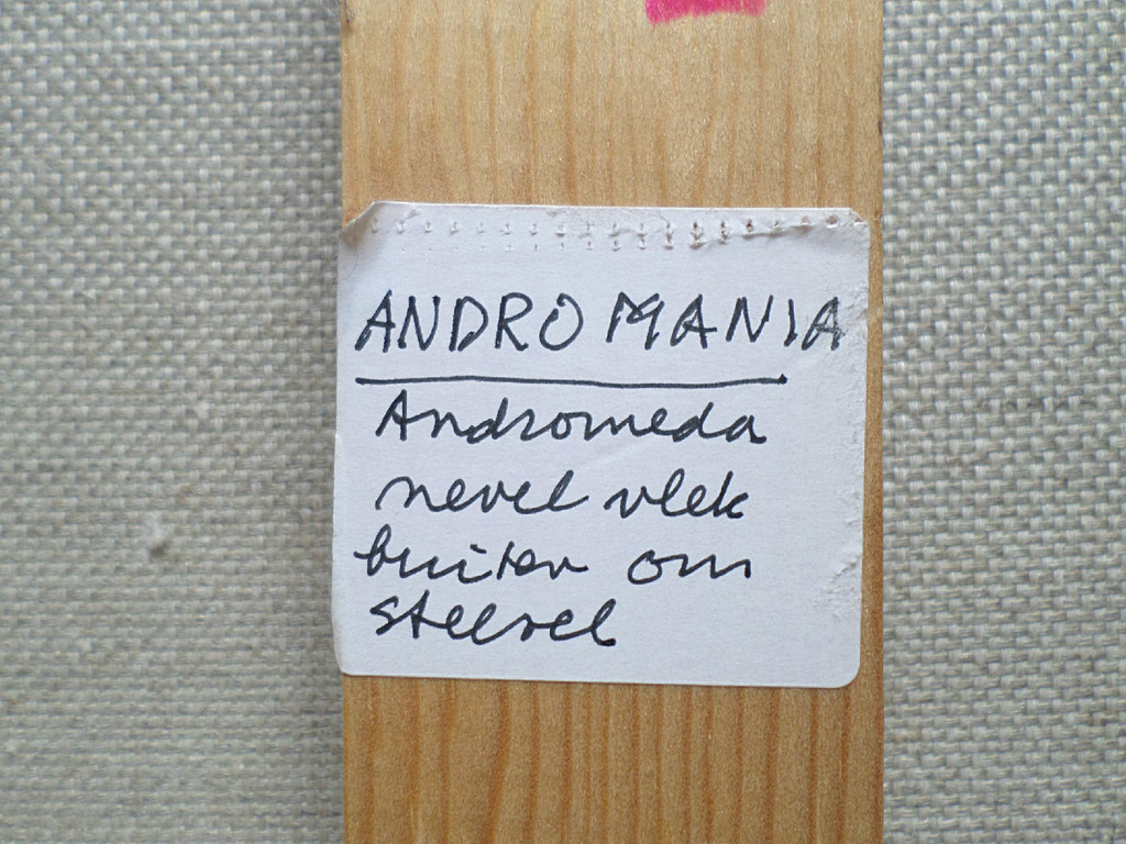 Ernst Vijlbrief - Andromania, olieverf op doek (mooi ingelijst, groot) kopen? Bied vanaf 300!