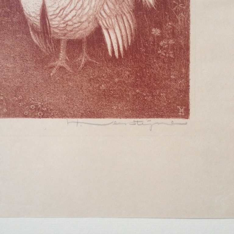 Henri Verstijnen litho Witte kalkoen. kopen? Bied vanaf 60!