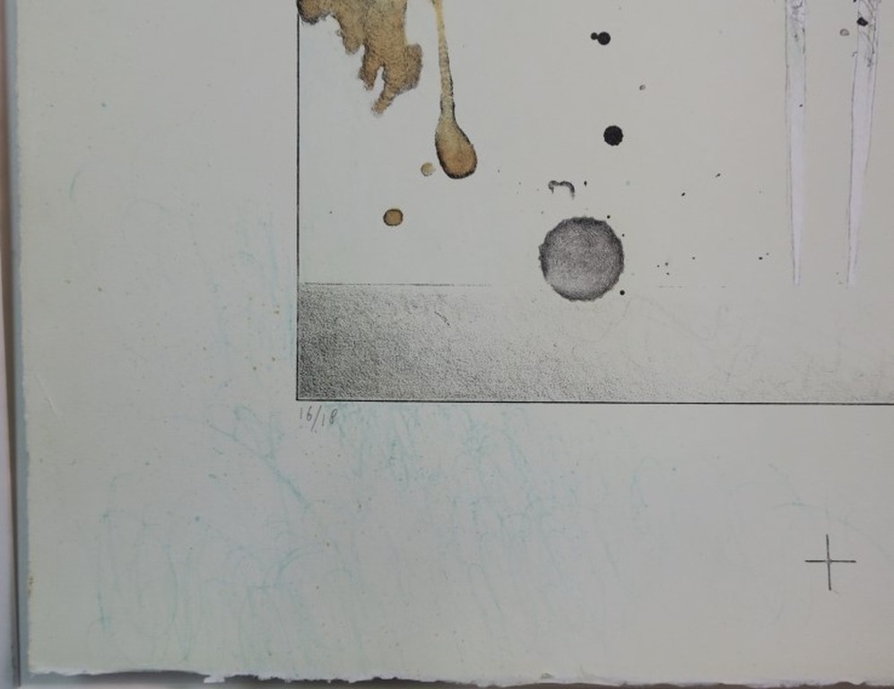 Jurjen Ravenhorst: Litho, Vogelvrouw kopen? Bied vanaf 50!