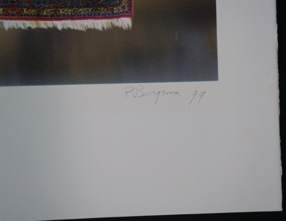 Patrick Bergsma: Zeefdruk, Karekiet kopen? Bied vanaf 1!