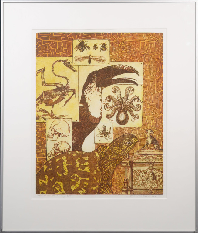 Annemarie Petri: Ets, Interieur van een Zeoloog - Ingelijst kopen? Bied vanaf 1!