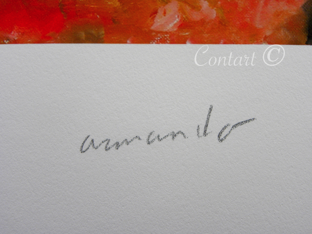 'Fundstück' - Giclee - Gesigneerd en Genummerd met de hand - 2015  kopen? Bied vanaf 175!