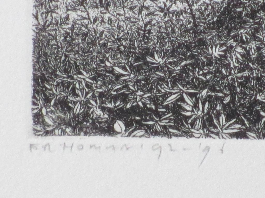 Reinder Homan, Knotwilgen in landschap, Ets kopen? Bied vanaf 1!