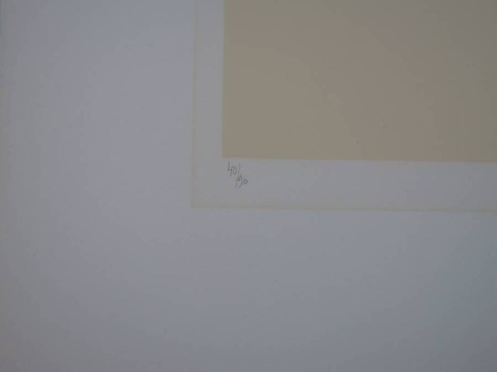 Metten Koornstra: Litho, Landschap met huis kopen? Bied vanaf 1!