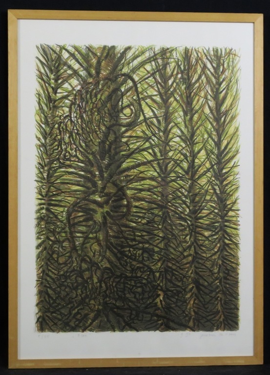 Jacobien de Rooij: Litho, Flou -  Ingelijst kopen? Bied vanaf 1!