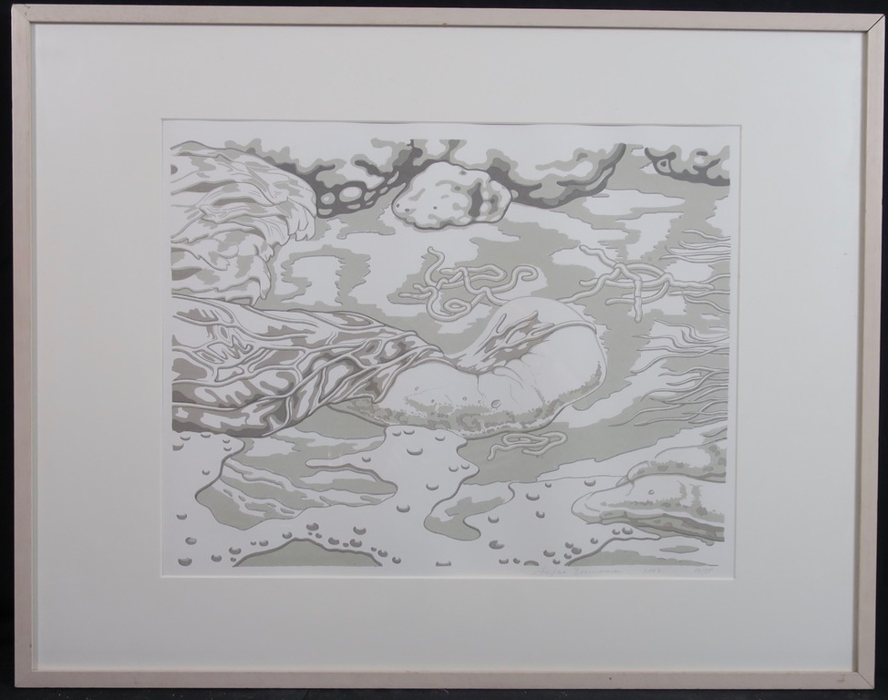 Aafke Bennema: Zeefdruk, Z.T. - Ingelijst kopen? Bied vanaf 1!