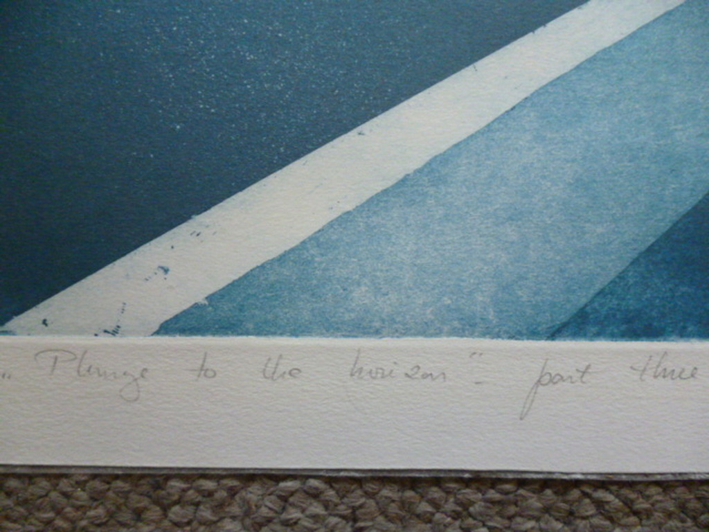 Leentje Linders - kleurenets - Plunge to the horizon part three kopen? Bied vanaf 40!