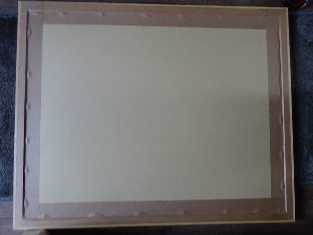 Martin van Waning - Kolkje te Amsterdam kopen? Bied vanaf 80!