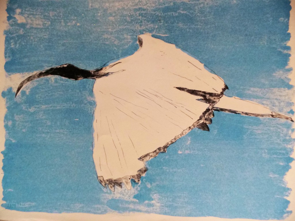 Ellen van Eldik litho verkocht voor € 35!