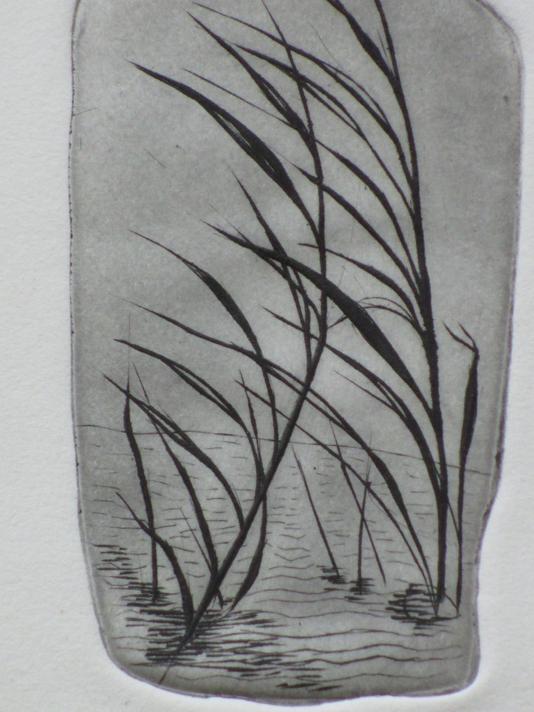 Pum Niemeijer - Pum Niemeijer, Rietkraag aan het water, Ets kopen? Bied vanaf 1!