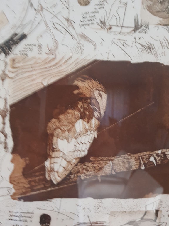 Toni de Klerk Kleuren ets kopen? Bied vanaf 39!