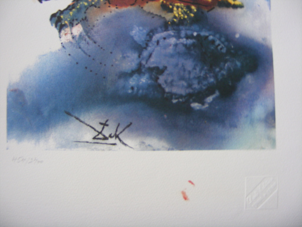 Salvador Dali, kleurenlithografie, nieuwstaat! kopen? Bied vanaf 50!