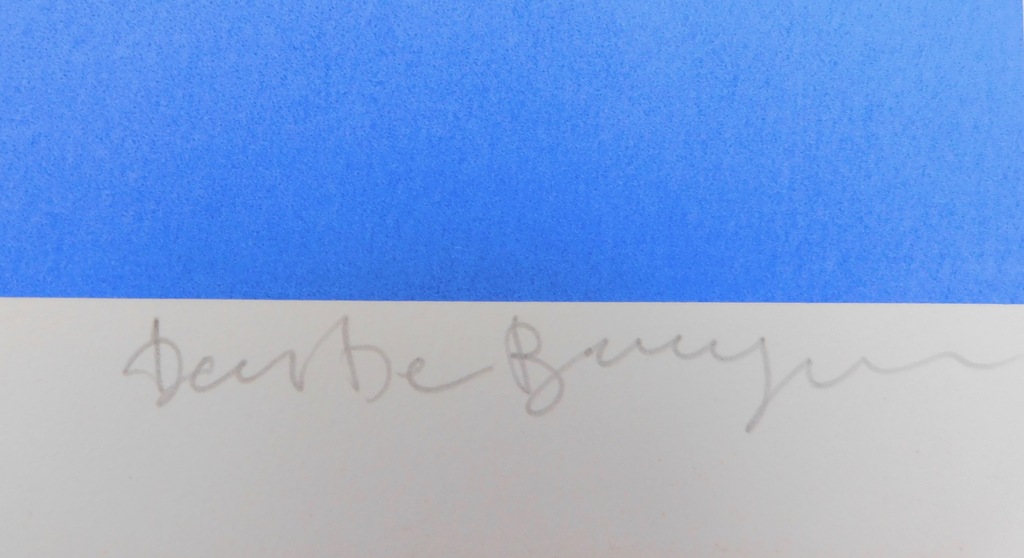 Dees de Bruyne - kleurenlitho - Femme Bleu kopen? Bied vanaf 90!