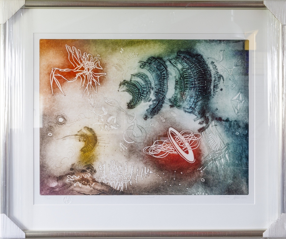 Ad Arma grote kleuren ets 'Moonisland I' - 2002 - ingelijst. kopen? Bied vanaf 125!