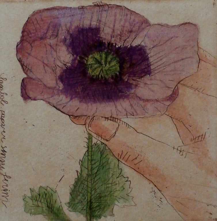 Arja van den Berg - ets: Papaver - 1984 kopen? Bied vanaf 45!