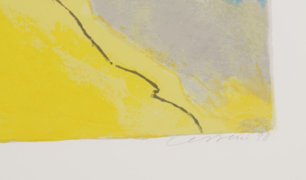 Henk van Vessem: Zeefdruk, Zeedrift I kopen? Bied vanaf 20!