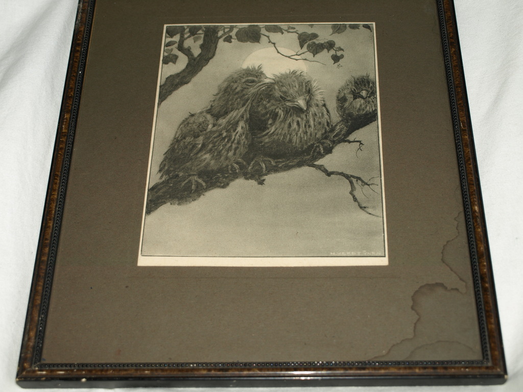 Henri Verstijnen (1882-1940)  : Litho – Jonge vogels – Ingelijst- ca 1930 kopen? Bied vanaf 1!