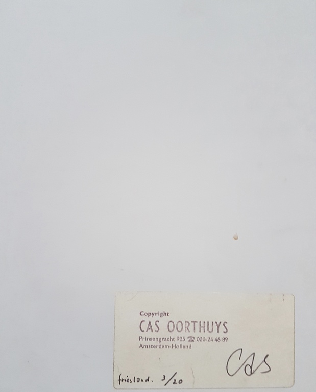 CAS OORTHUYS HANDGESIGNEERD FOTO PAARDEN  FRIESLAND JAREN '50  kopen? Bied vanaf 1!