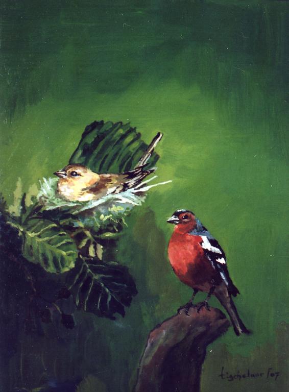 André Tigchelaar: Olieverf, Vinkjes kopen? Bied vanaf 1!