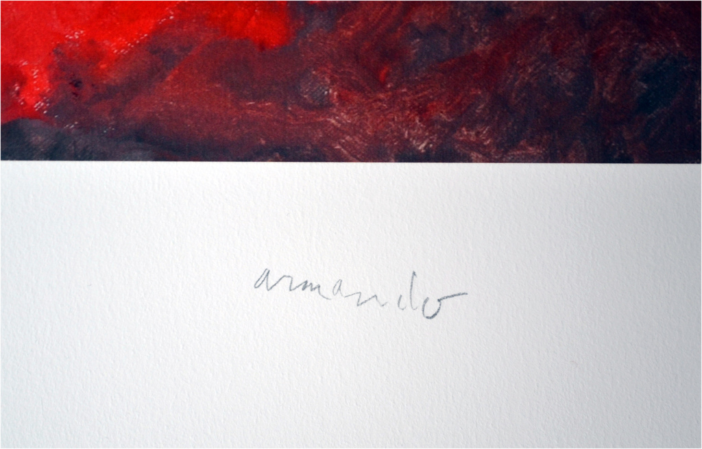 Armando - 'Die Blume' - kleuren giclee - gesigneerd - oplage 25 - 2015 kopen? Bied vanaf 195!