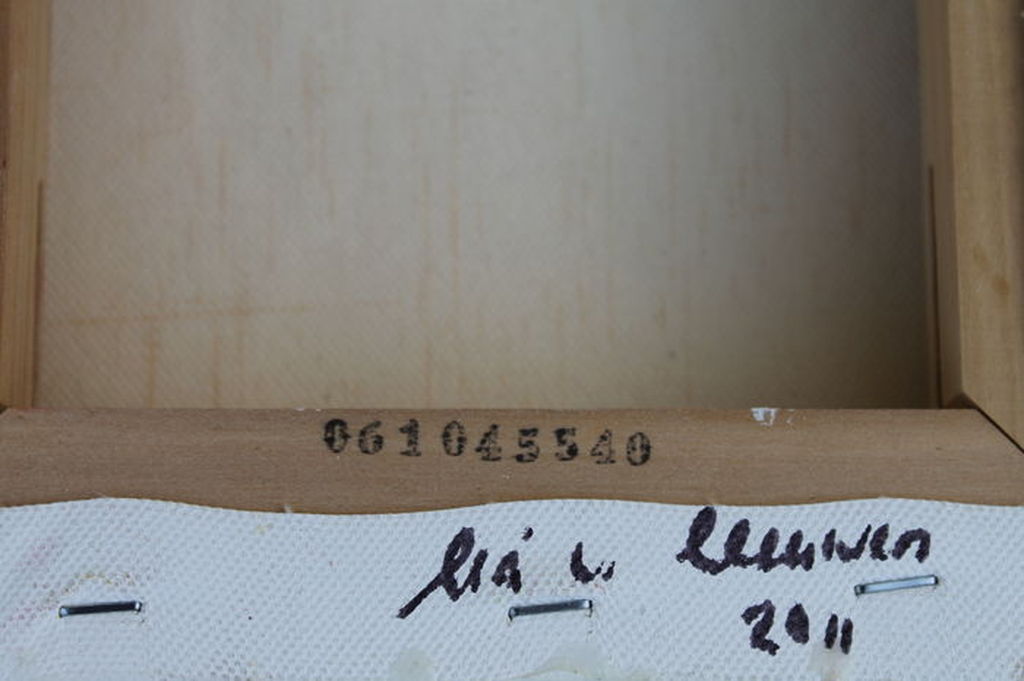 LIA van LEEUWEN  Schilderij  Olieverf op doek  PASSIE VOOR KLEUR  Handgesigneerd kopen? Bied vanaf 45!