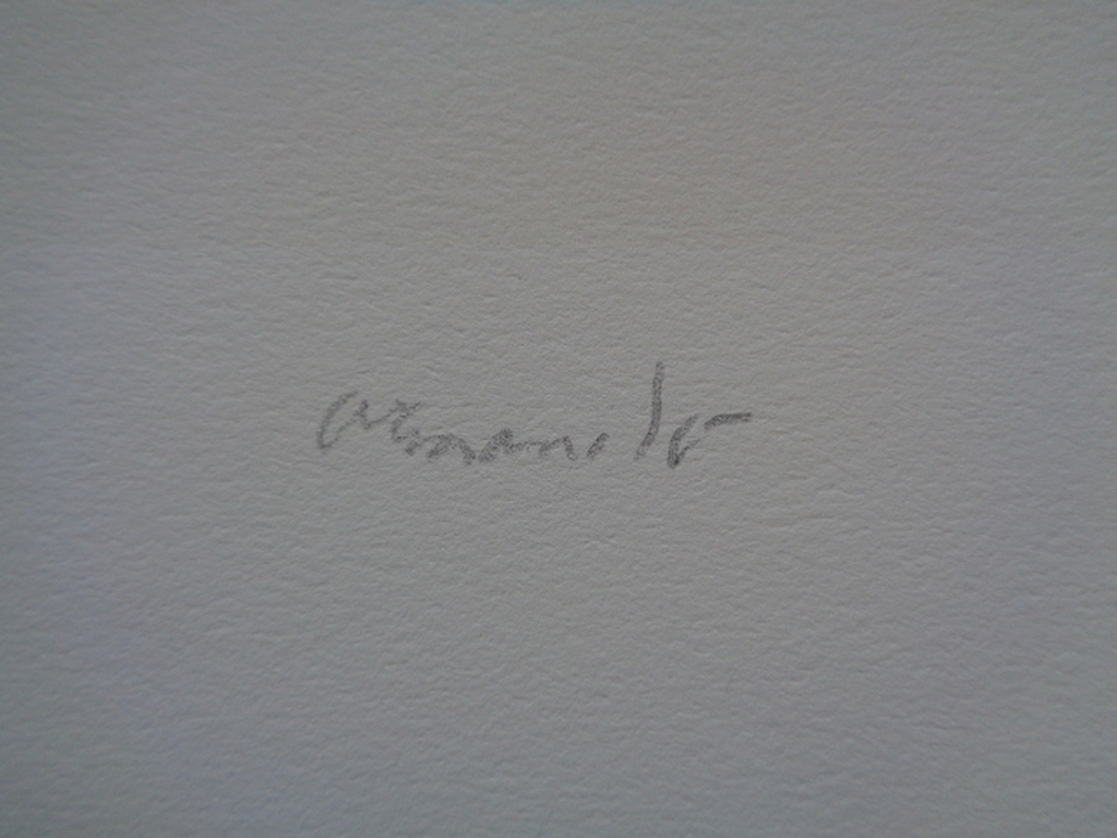 ARMANDO, Gelimiteerde en HANDGESIGNEERDE Glicee Compositie in Rood kopen? Bied vanaf 69!