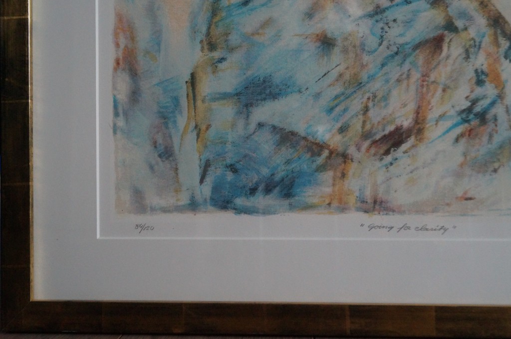 Willem van Scheijndel - gesigneerde zeefdruk - Going for Clarity - ingelijst kopen? Bied vanaf 150!
