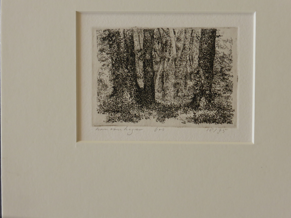 Han van Hagen, twee etsen, Bos  en Berk en eiken  kopen? Bied vanaf 45!