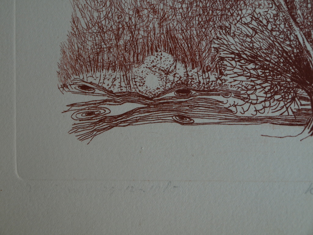 Kees de Ruijter : Ets , Bloeiende tak – gesigneerd - 1985 kopen? Bied vanaf 1!