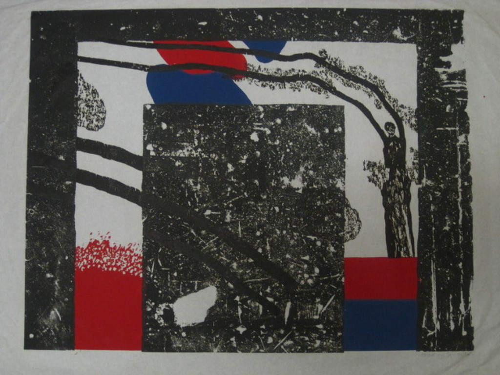 Jef Diederen (1920-2009) grote kleurenlitho "de Val" gesigneerd ca. 1970 kopen? Bied vanaf 1!