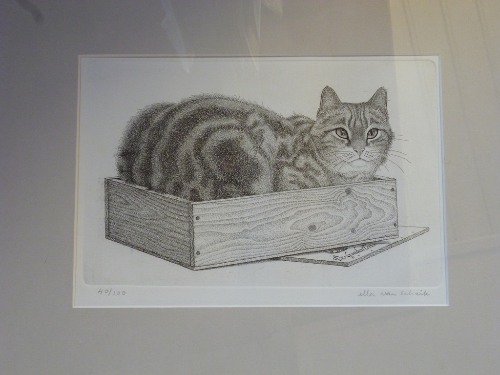 Poes in kistje verkocht voor € 40!