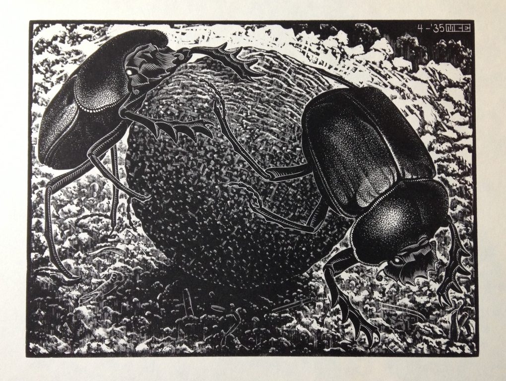 MC Escher, ORIGINELE houtgravure, 1935. Scarabeeën verkocht voor € 1150!