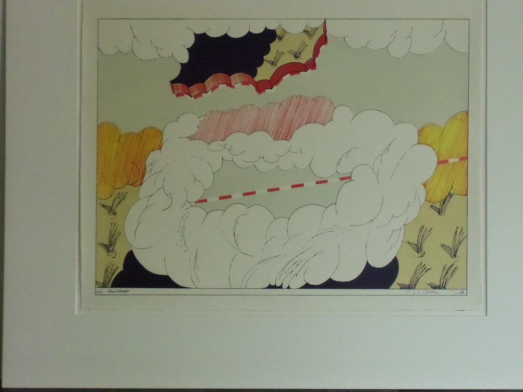 CODE LANDESCAPE // KLEURENLITHO VAN HANNES POSTMA verkocht voor € 40!