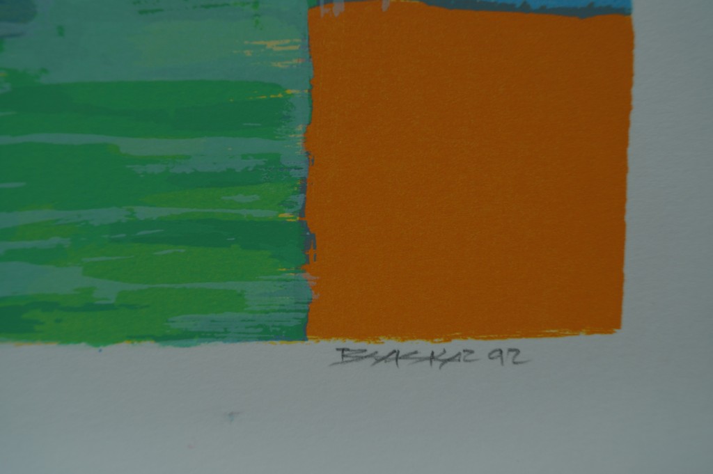 Bhaskar Hande - gesigneerde zeefdruk - 45 ex. 1992 kopen? Bied vanaf 1!